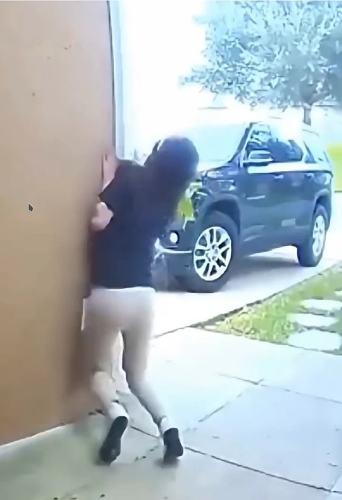 Когда тянешь не ты: собаки, которым всё равно на физику