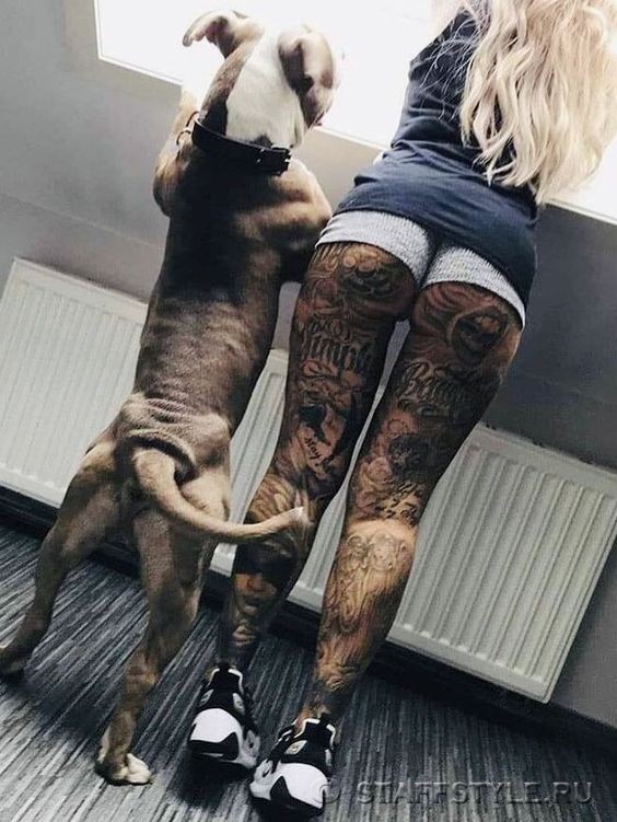4e9007f2d63dbcf8d121254ce1c99c1a.jpg