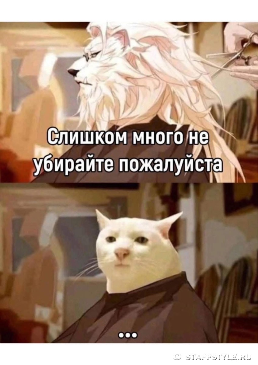 Сказка о происхождении белого питбуля