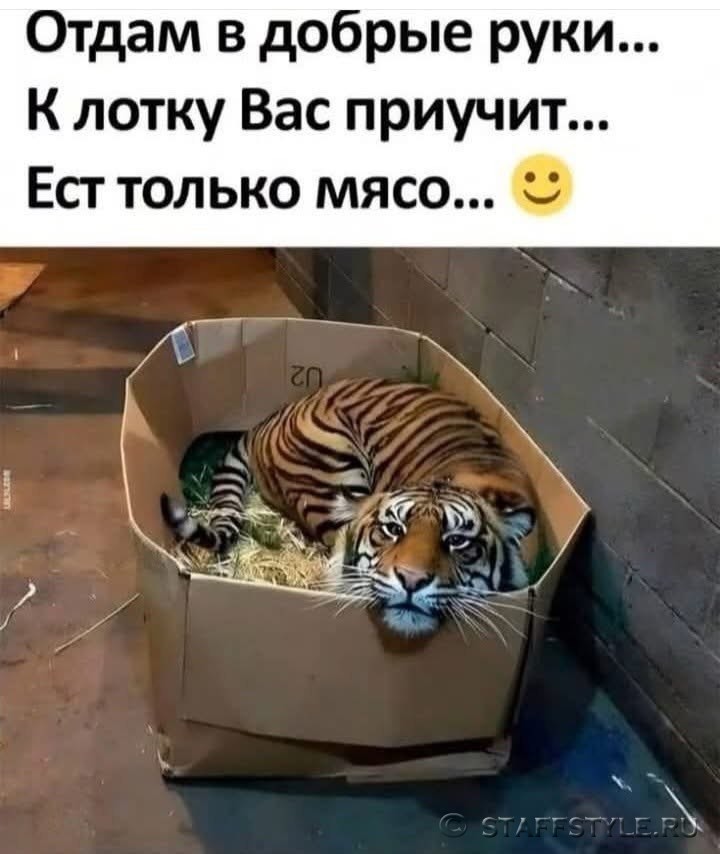 реклама зоогостиниц