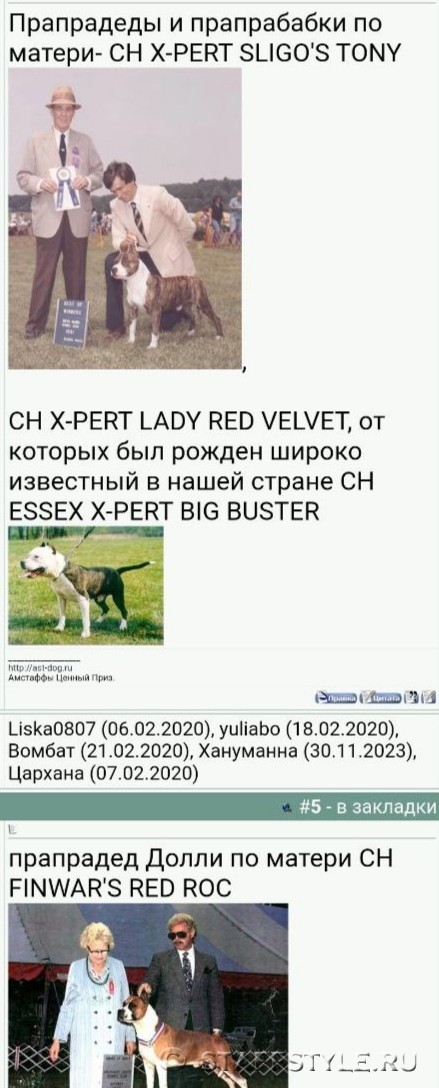 Амстаффы ценный приз