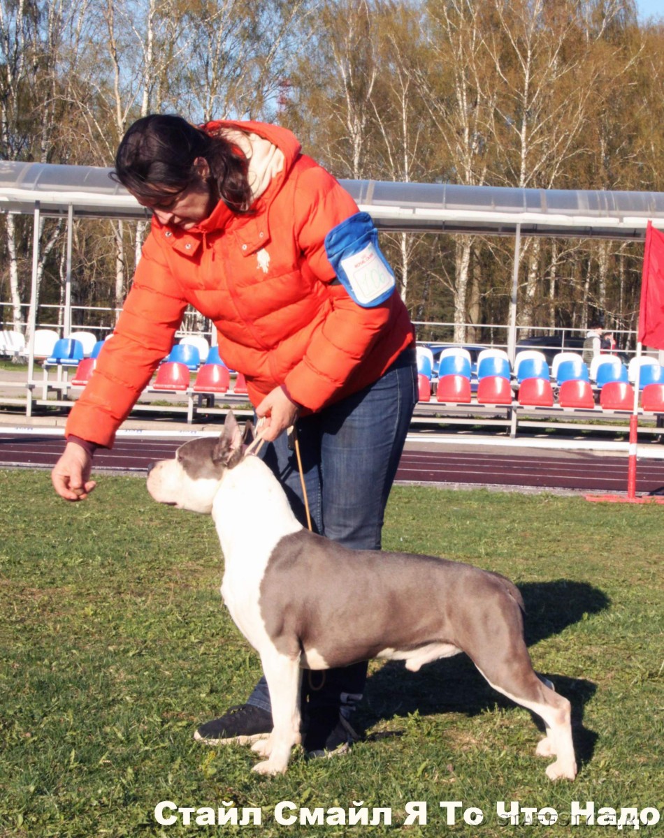 Стайл Смайл Я То Что Надо