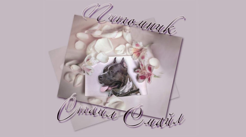 «Стайл Смайл» - От улыбки станет всем светлей! Сергиев Посад.