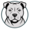 Амстафф форум  - Staffstyle американский стаффордширский терьер