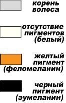 Таблица генов окраски
